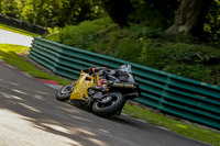 cadwell-no-limits-trackday;cadwell-park;cadwell-park-photographs;cadwell-trackday-photographs;enduro-digital-images;event-digital-images;eventdigitalimages;no-limits-trackdays;peter-wileman-photography;racing-digital-images;trackday-digital-images;trackday-photos